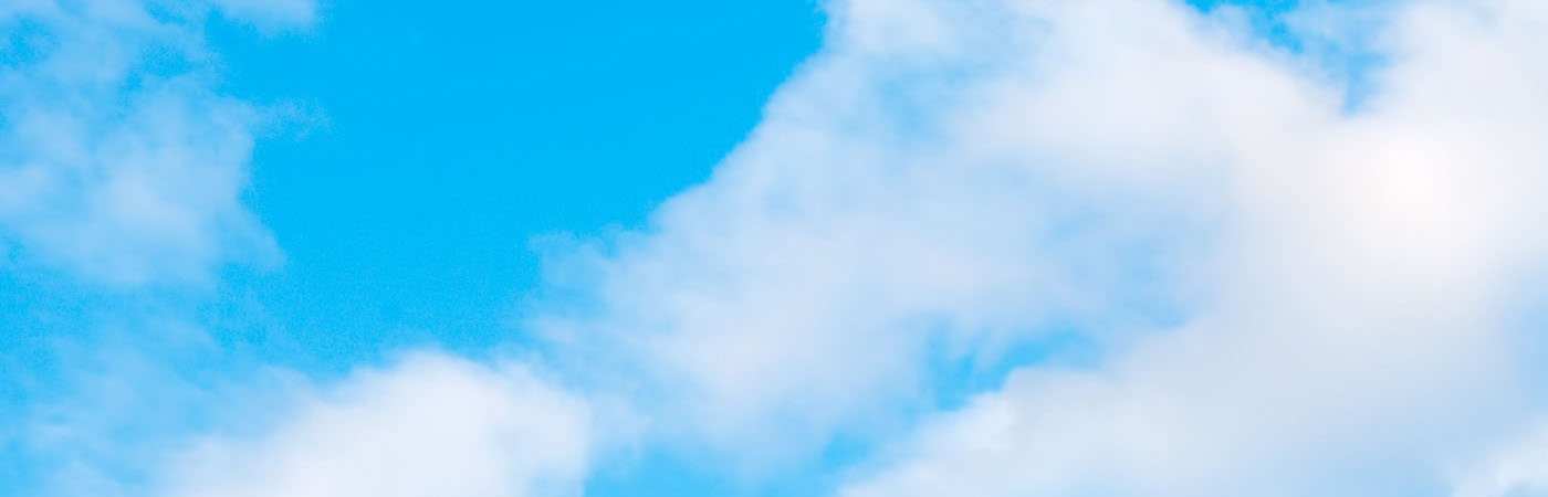 新着情報